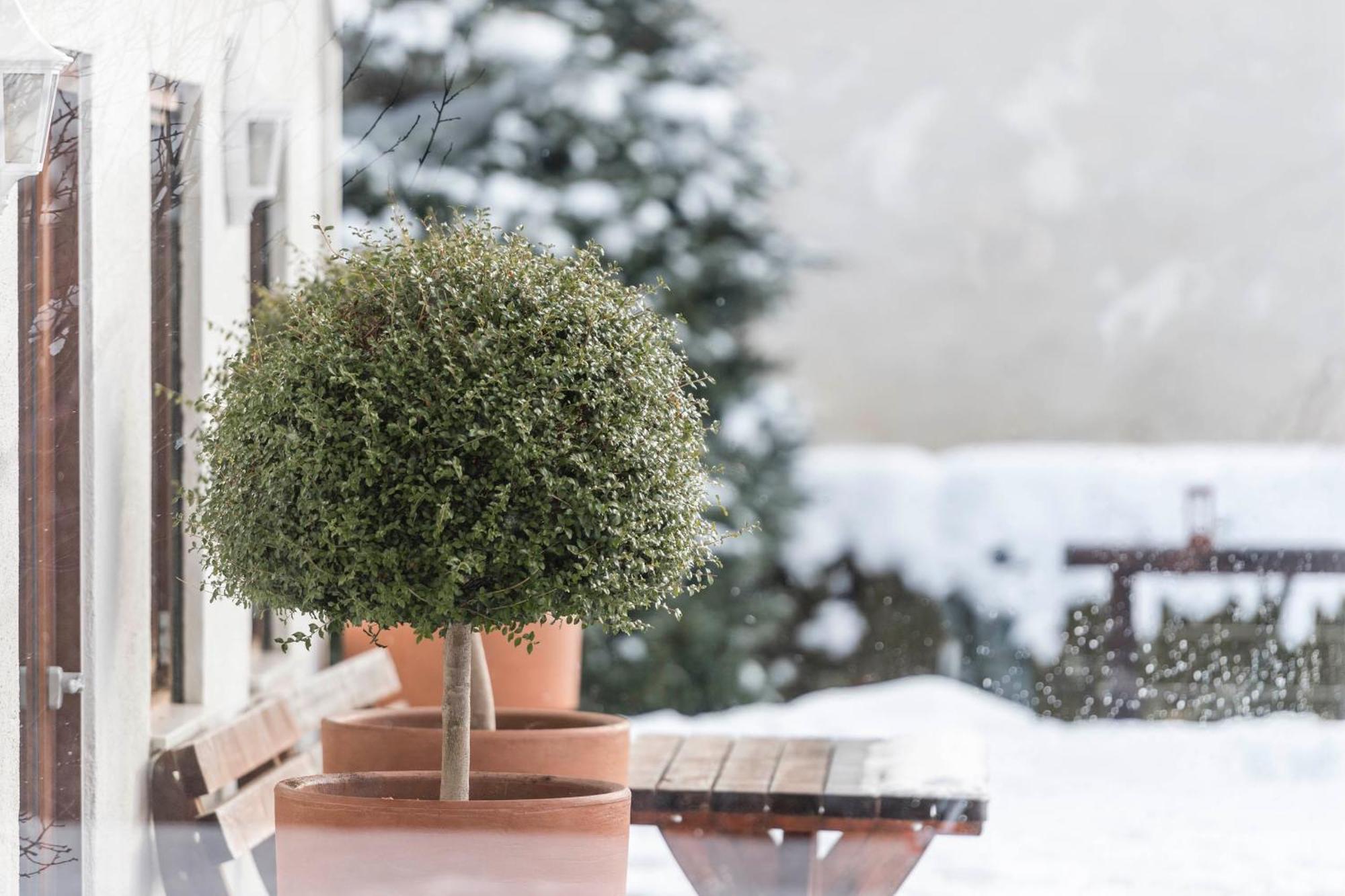Hotel Oberbrunn superiore Natz-Schabs Esterno foto